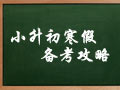 小学生最后一个寒假怎么过