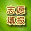 志愿填报