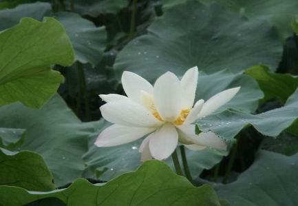 调节好睡眠节奏