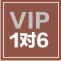 vip六人小班寒假精品课程