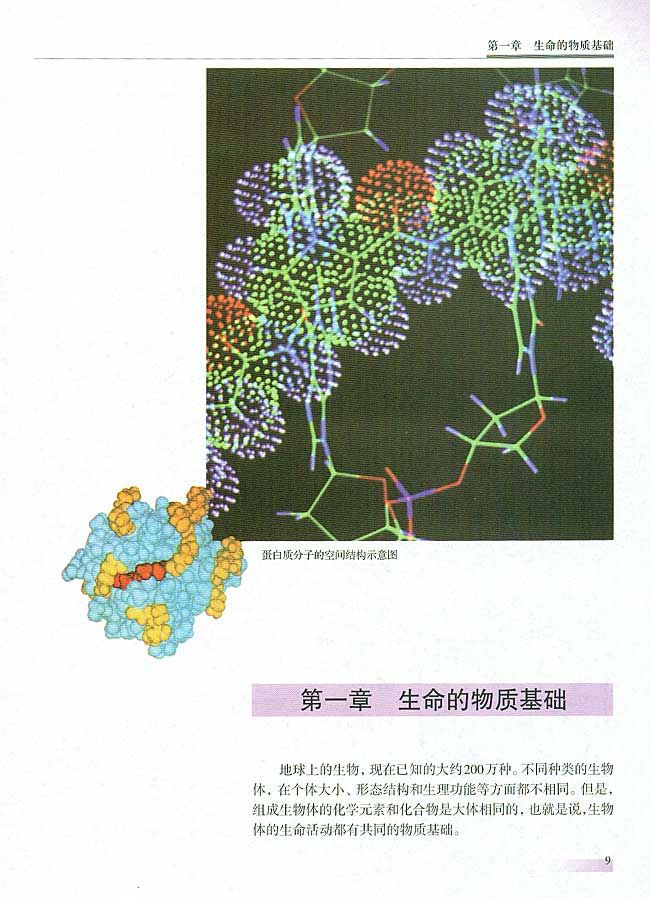 人教版生物必修一电子课本9