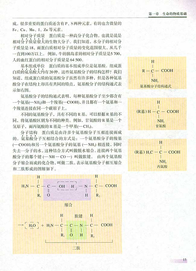 人教版生物必修一电子课本15