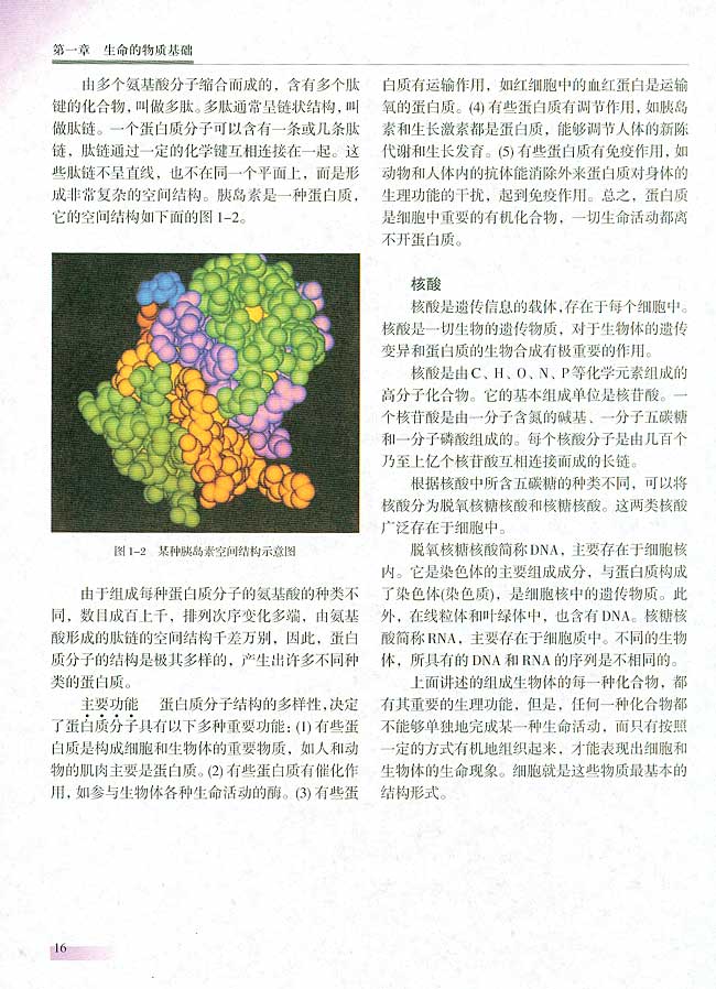 人教版生物必修一电子课本16