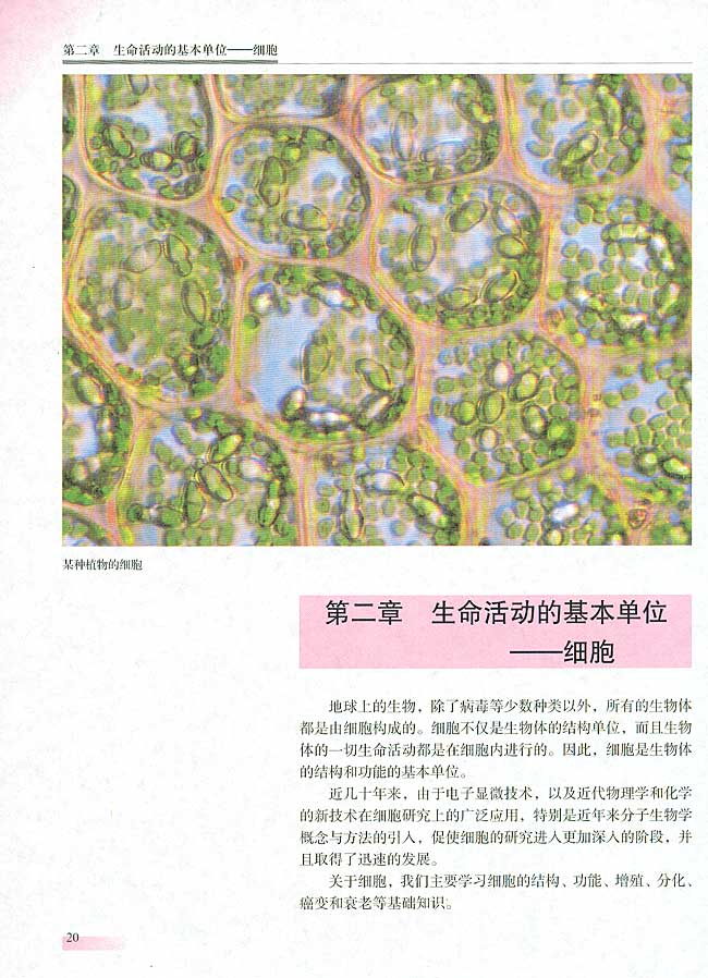 人教版生物必修一电子课本20