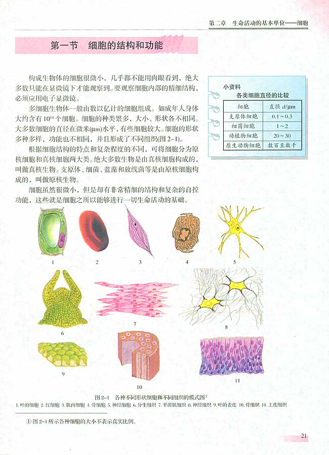 人教版生物必修一电子课本21