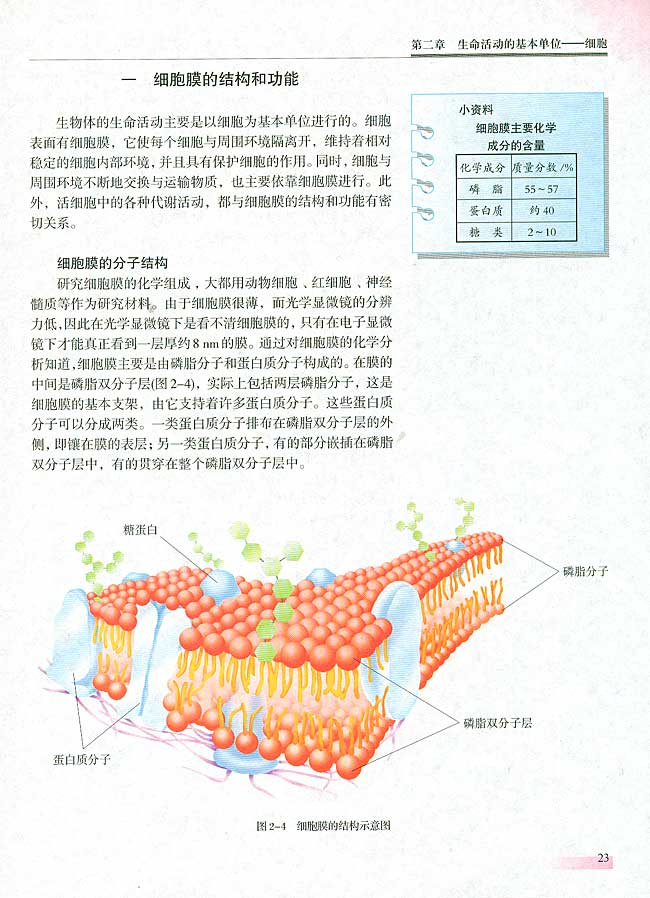 人教版生物必修一电子课本23