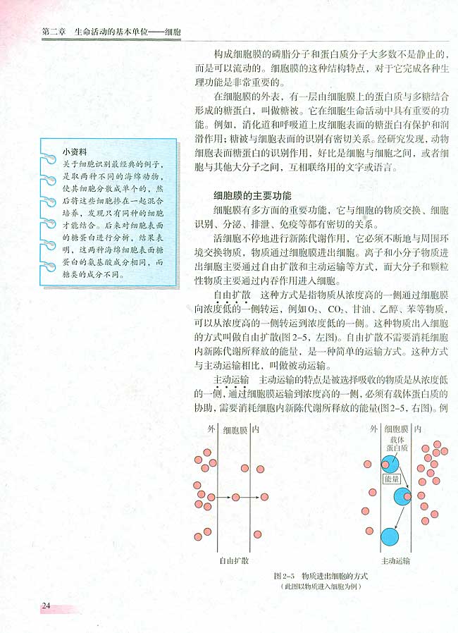 人教版生物必修一电子课本24