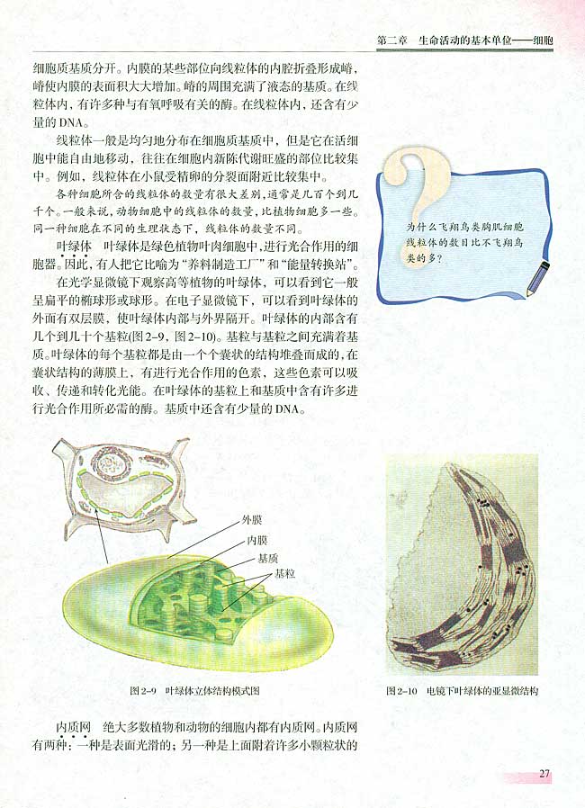 人教版生物必修一电子课本27