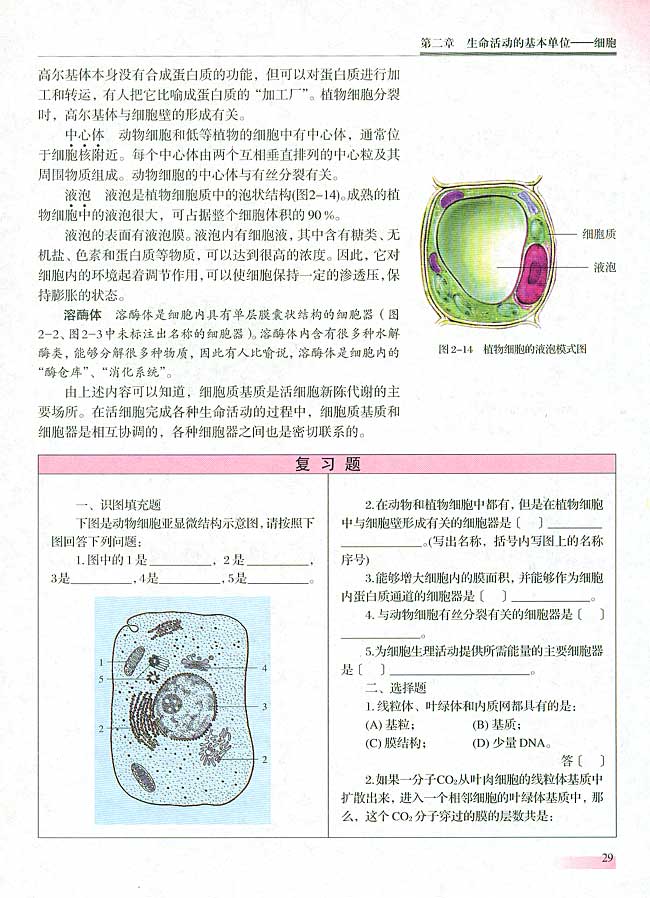 人教版生物必修一电子课本29