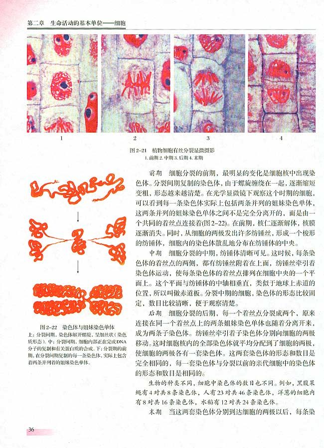 人教版生物必修一电子课本32
