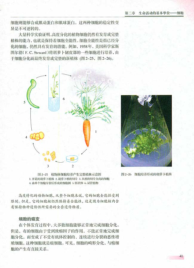 人教版生物必修一电子课本35