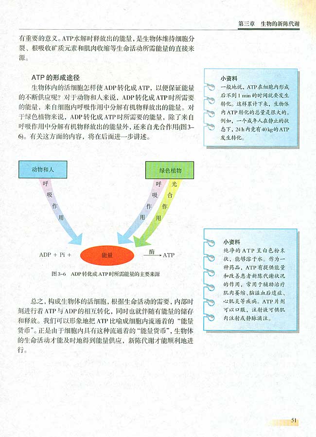 人教版生物必修一电子课本5