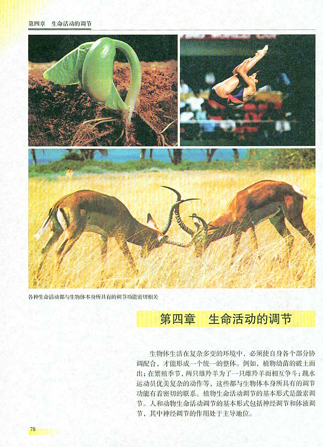 人教版生物必修一电子课本1