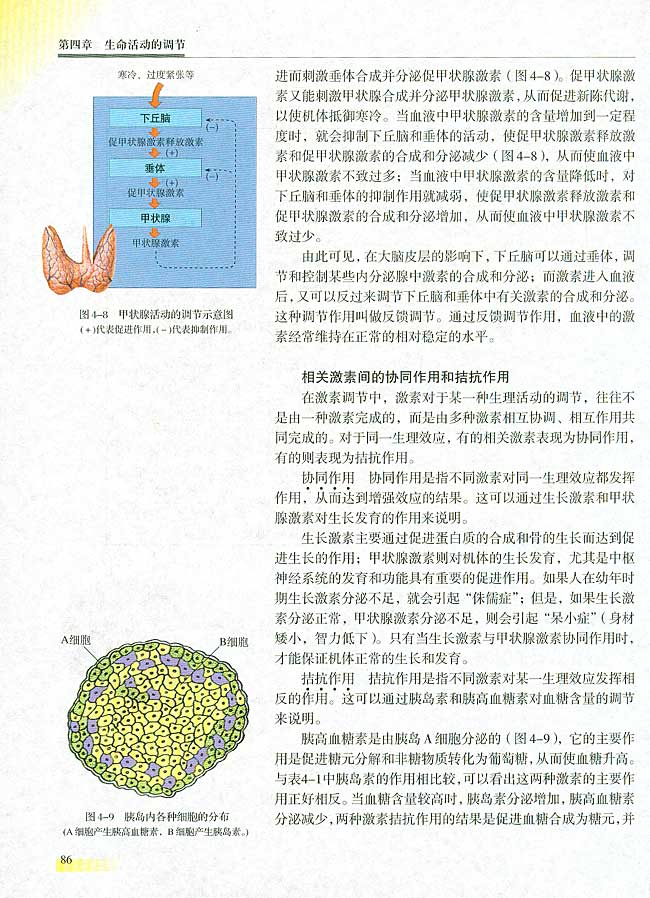人教版生物必修一电子课本10
