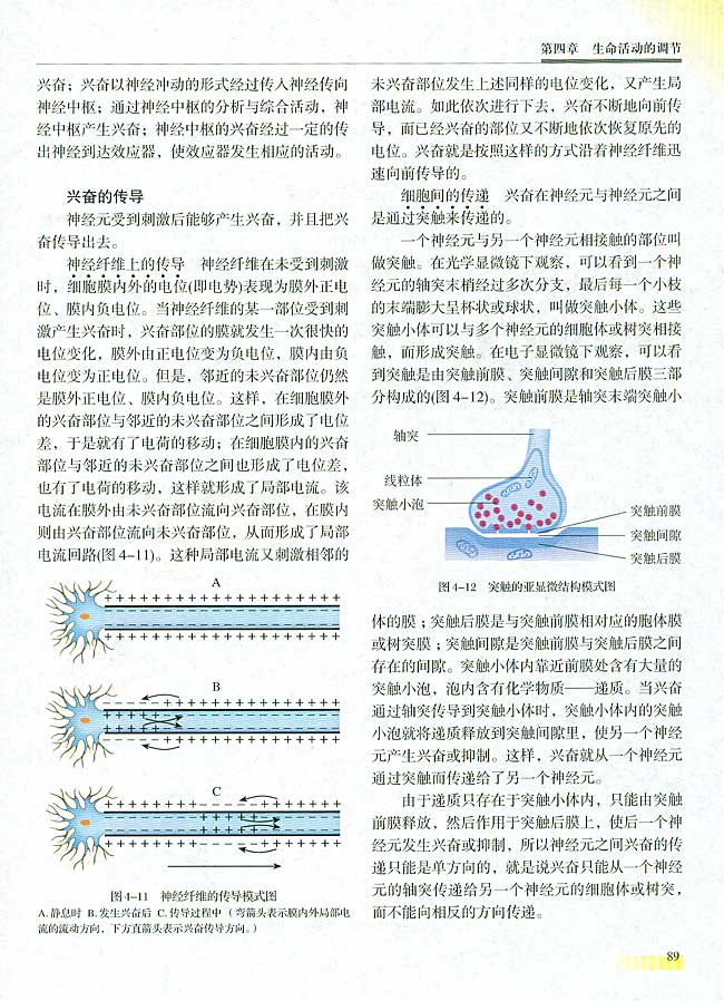 人教版生物必修一电子课本13
