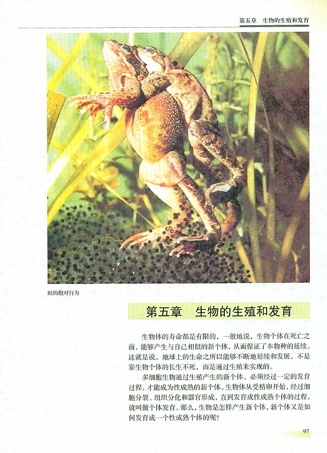 人教版生物必修一电子课本2