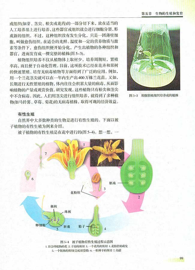 人教版生物必修一电子课本4
