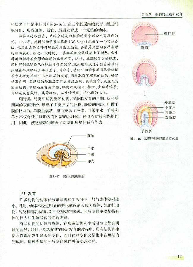 人教版生物必修一电子课本17