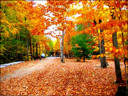 加拿大投资移民“限额”稍纵即逝 再催留学热