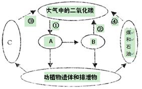 循环的英文