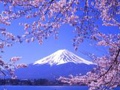 日本的国土