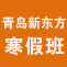 青岛新东方寒假班火热报名中