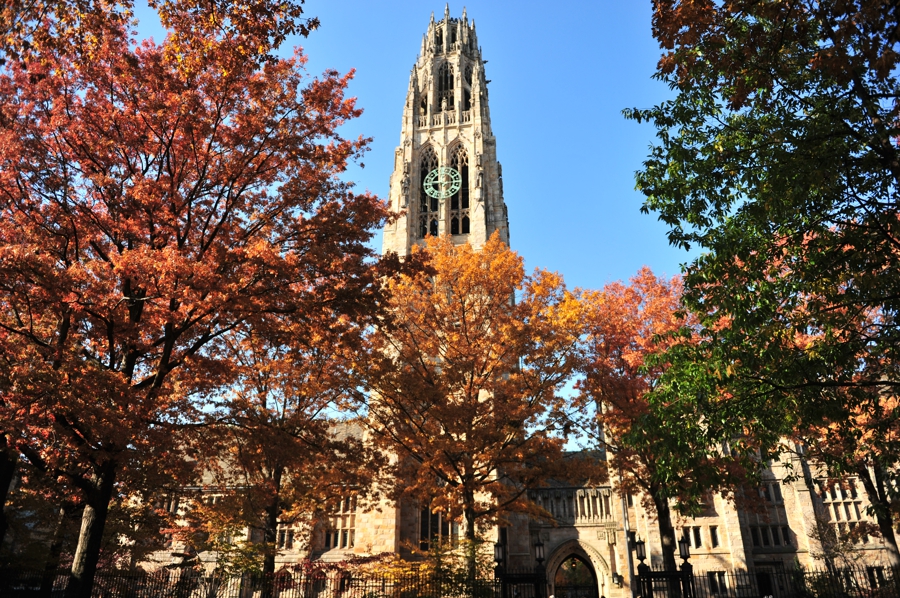 耶鲁大学