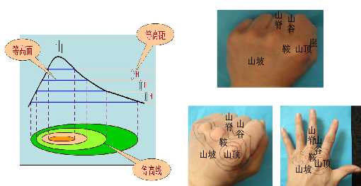 初中地理知识点:人体密码与地理教学