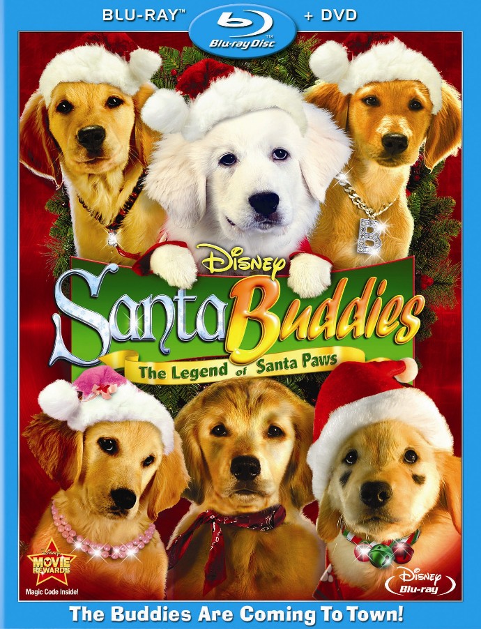 圣诞节电影推荐:《全面搜寻圣诞狗狗》