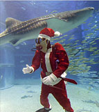 圣诞节短信祝福语_圣诞节电影_圣诞节音乐_圣诞节礼物