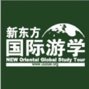 国际游学