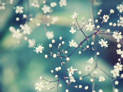 2012.<em>3.8妇女节英文</em>贺词:三八妇女节英语祝福