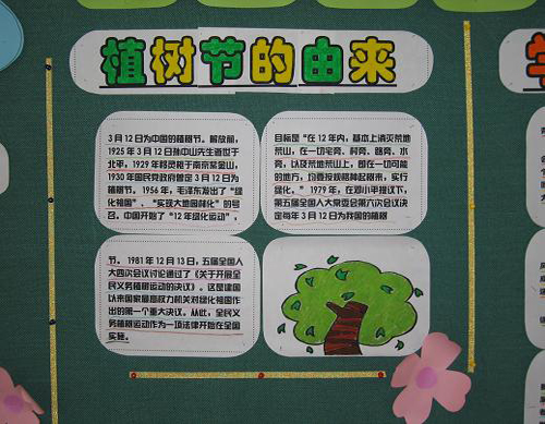 小学生植树节手抄报图片:植树节的由来