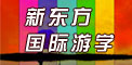 国际游学