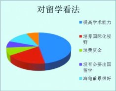 细究留学热背后的“那些事儿” 海归工作满意度仅为40%