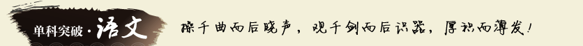 单科突破.语文