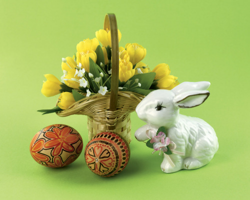 复活节兔子的图片