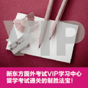 国外国内vip