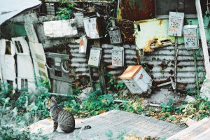 香港留学:用相机记录香港生活