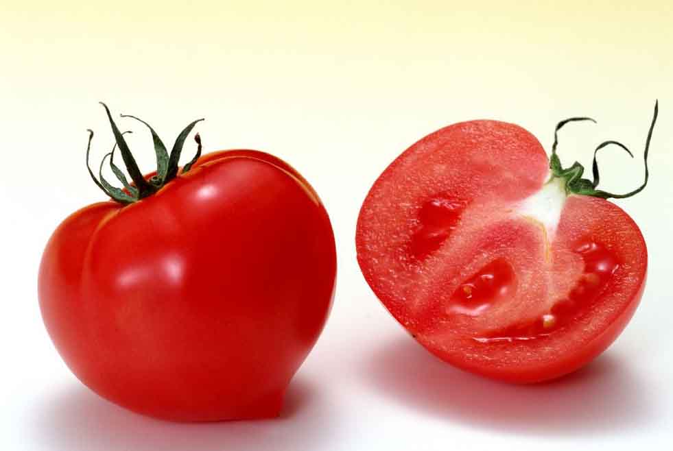 少儿英语故事:The+Tomato+Fight(带翻译)