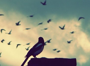 考研考前一周英语写作冲刺辅导