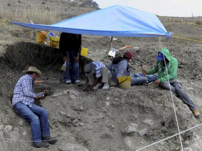 英语听力:墨西哥克雷塔罗州发现猛犸象牙化石