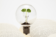 雅思单词过目不忘的三个方法