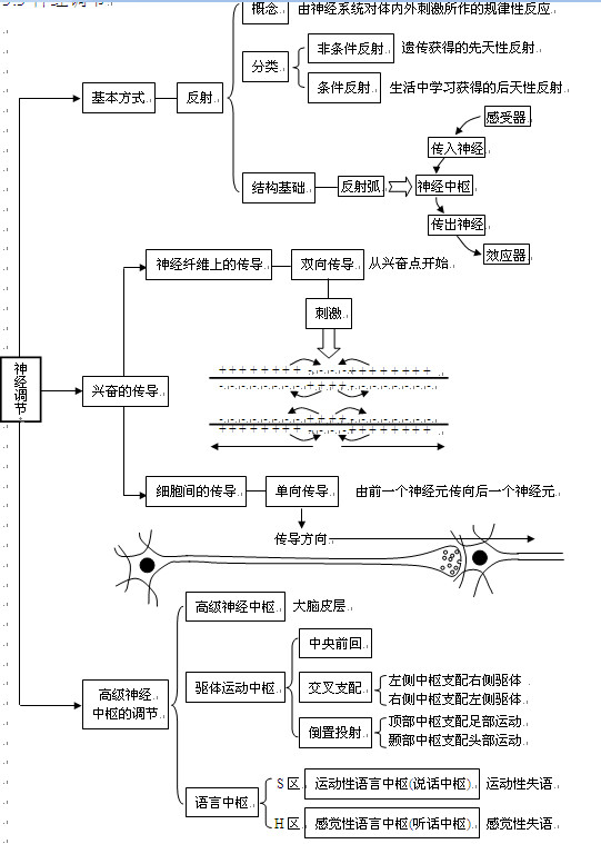 高考生物知识点,2013高考生物,高考生物复习资料, 
