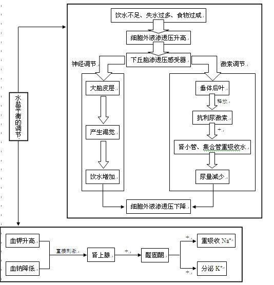 高考生物知识点,2013高考生物,高考生物复习资料, 