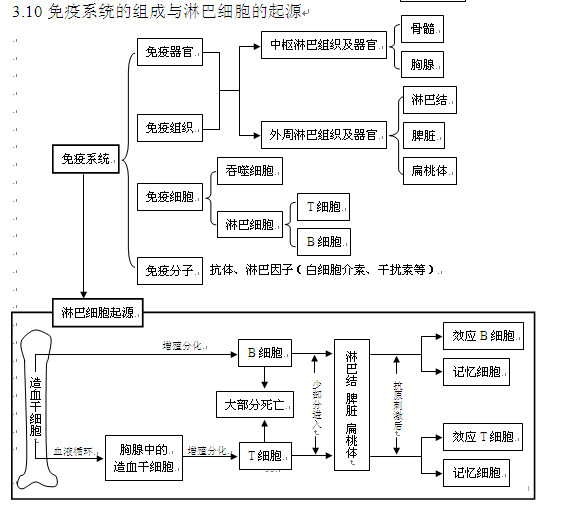 高考生物知识点,2013高考生物,高考生物复习资料, 