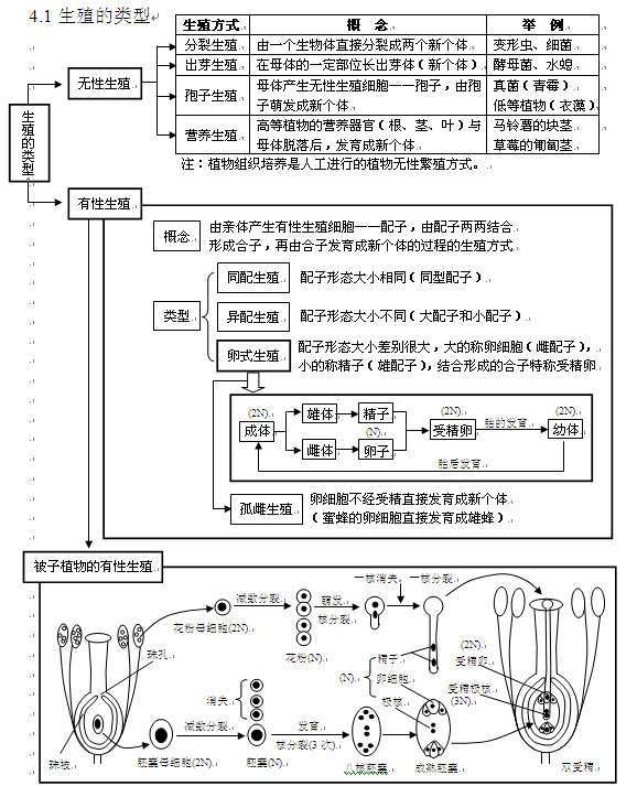 高考生物知识点,2013高考生物,高考生物复习资料, 