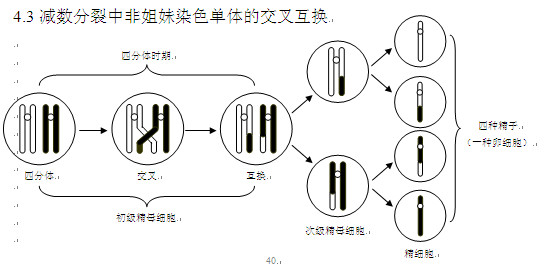 乙,丙三图表示某种生物的三个正在进行分裂的细胞示意图,有关叙述不