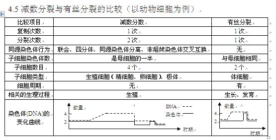 高考生物减数分裂知识点总结