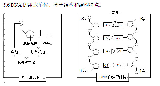 高考生物知识点,2013高考生物,高考生物复习资料, 